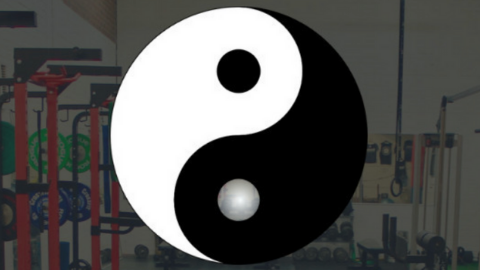 You are currently viewing YIN-YANG APPROACH IN TRAINING