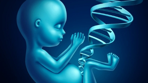 Read more about the article GENETICS IS BULLSHIT